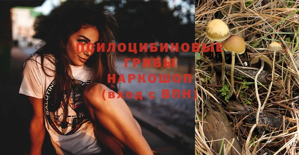 гидра Беломорск